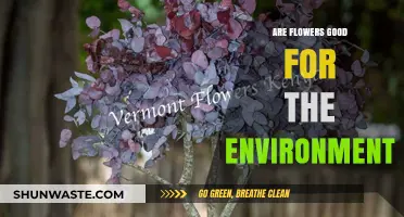Blooming Benefits: How Flowers Positively Impact Our Environment