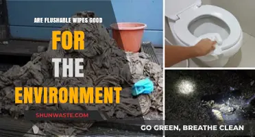 Are Flushable Wipes Eco-Friendly? Uncovering Their Environmental Impact