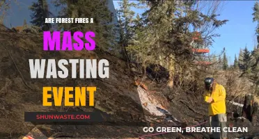 Are Forest Fires a Form of Mass Wasting? Exploring the Link