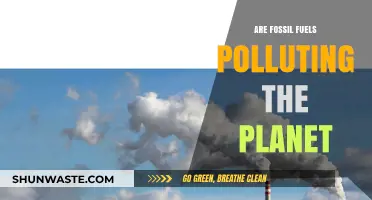 Fossil Fuels: Polluting Our Planet?