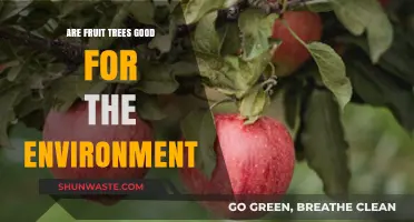 Fruit Trees: Eco-Friendly Benefits and Environmental Impact Explained
