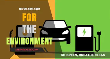 Gas Cars vs. Environment: Debunking Myths and Exploring Eco-Impact