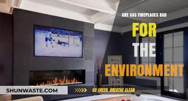 Gas Fireplaces and Environmental Impact: Are They Eco-Friendly?