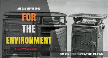 Gas Stoves vs. Environment: Are They Eco-Friendly or Harmful?
