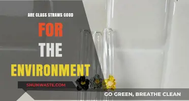 Glass Straws: Eco-Friendly Solution or Environmental Myth?