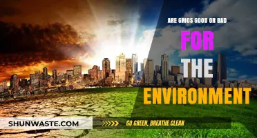 GMOs and the Environment: Unraveling the Ecological Impact Debate