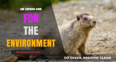 Gophers: Environmental Allies or Garden Pests? Uncovering Their Ecological Impact
