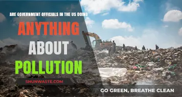 US Government: Taking Action Against Pollution?