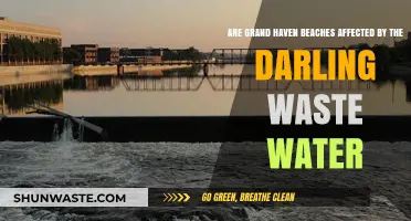 Darling Wastewater Impact: Are Grand Haven Beaches at Risk?