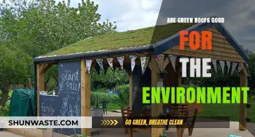Green Roofs: Eco-Friendly Benefits and Environmental Impact Explained
