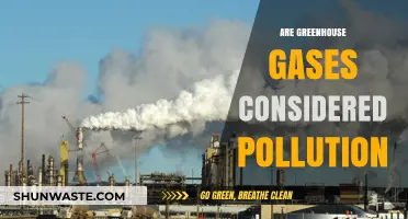 Greenhouse Gases: Pollution or Natural Process?
