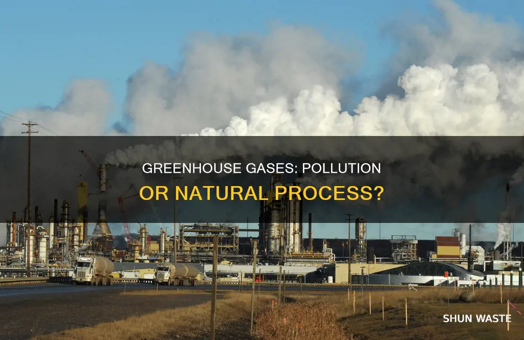 are greenhouse gases considered pollution
