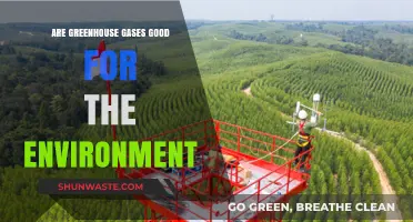 Greenhouse Gases: Environmental Ally or Climate Crisis Catalyst?
