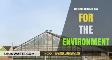 Greenhouses and Environmental Impact: Sustainable or Harmful Practice?