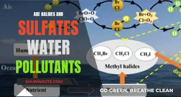 Halides and Sulfates: Water Pollutants or Natural Elements?