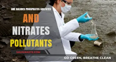 Halides, Phosphates, Sulfates, and Nitrates: Are They Pollutants?