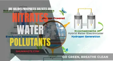 Halides, Phosphates, Sulfates, and Nitrates: Water's Hidden Pollutants