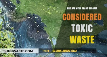Harmful Algae Blooms: Toxic Waste or Natural Hazard?