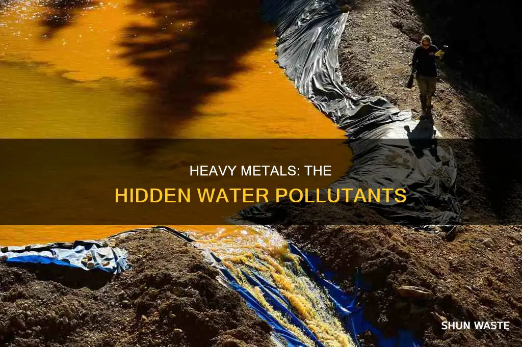 are heavy metals a type of water pollution