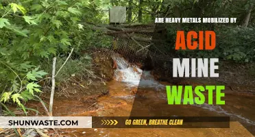 Acid Mine Drainage: Mobilizing Heavy Metals and Environmental Impacts