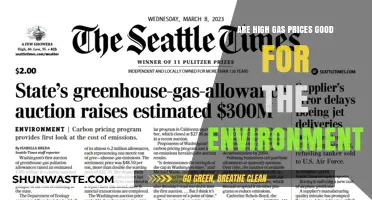 High Gas Prices: Environmental Boon or Economic Burden?