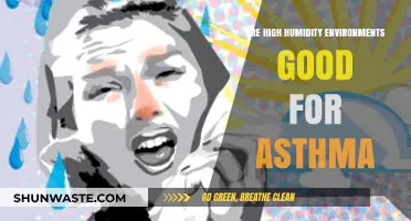 High Humidity and Asthma: Benefits or Breathing Challenges?