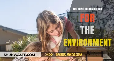 Home Bee Hives: Eco-Friendly Benefits and Environmental Impact Explained