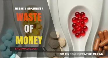 Are Horse Supplements Worth It or Just a Waste of Money?