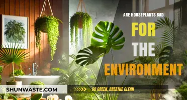 Houseplants and the Environment: Uncovering Their True Ecological Impact