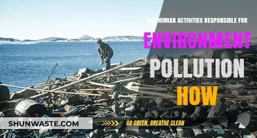 Human Impact: Environmental Pollution and Us