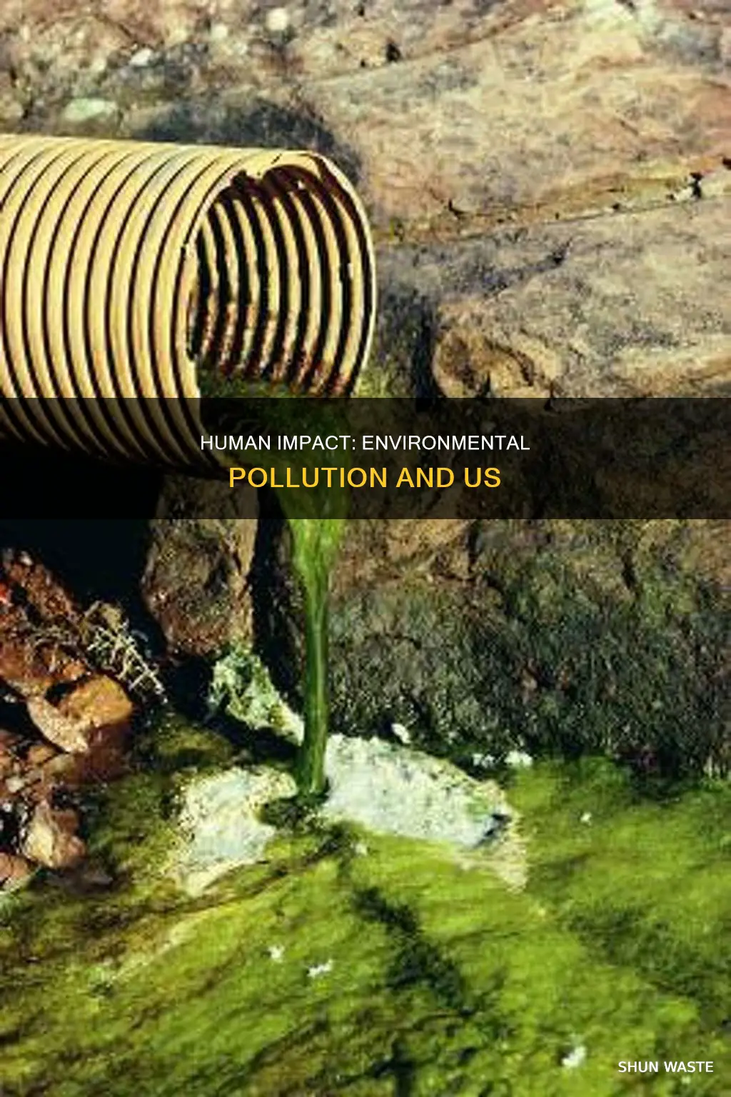 are human activities responsible for environmental pollution how