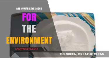Eco-Friendly Farewells: Are Human Ashes Beneficial for the Environment?