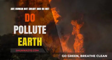 Humanity's Intelligence: Earth's Pollution Paradox