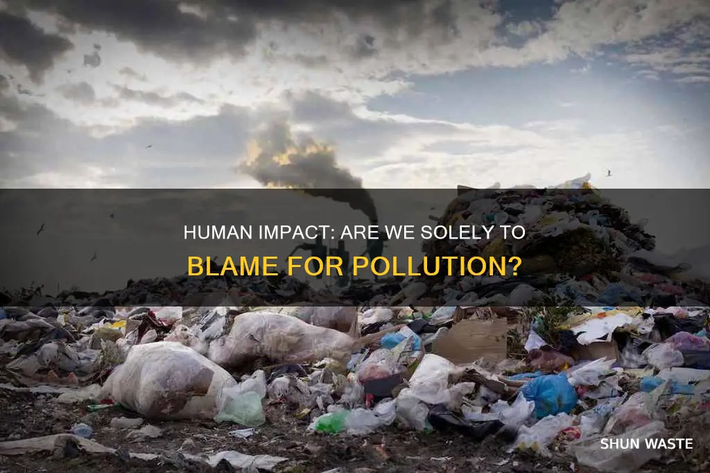 are human the only cause of pollution