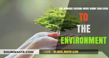 Human Impact: Harmful Dominance or Potential for Environmental Redemption?