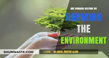 Human Impact: Are We Saving or Destroying Our Planet?