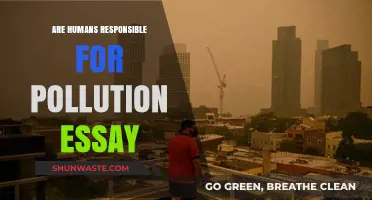 Human Impact: Pollution and Our Responsibility