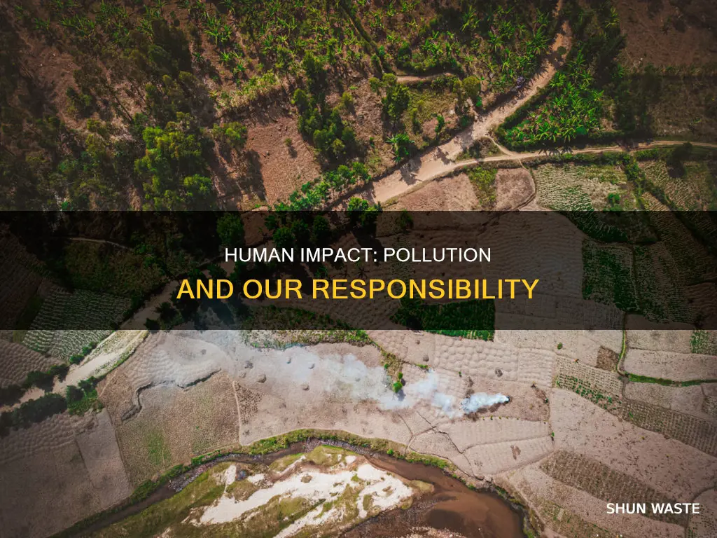 are humans responsible for pollution essay