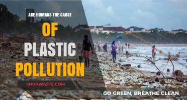 Human Impact: Unraveling the Plastic Pollution Crisis