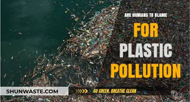Human Impact: Plastic Pollution and Our Future
