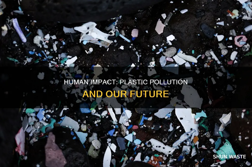 are humans to blame for plastic pollution