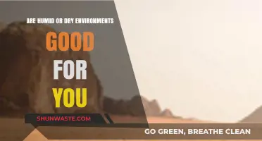 Humid vs. Dry: Which Environment Boosts Your Health and Well-Being?