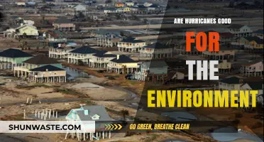 Hurricanes' Environmental Impact: Destructive Forces or Nature's Renewal Process?