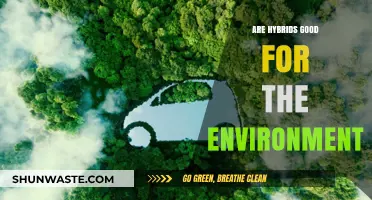 Are Hybrid Vehicles Truly Eco-Friendly? Uncovering Their Environmental Impact
