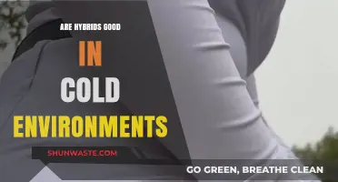 Hybrid Vehicles in Cold Climates: Performance, Efficiency, and Winter Reliability