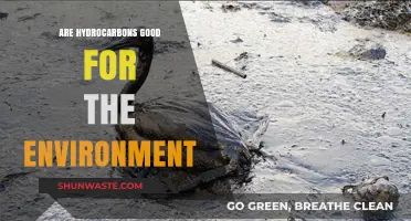 Hydrocarbons and the Environment: Uncovering Their Ecological Impact and Sustainability