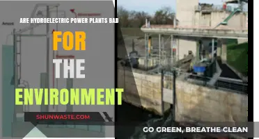 Hydroelectric Power Plants: Environmental Impact and Sustainability Concerns