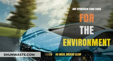 Hydrogen Cars: Eco-Friendly Solution or Environmental Myth?