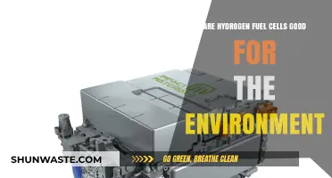 Hydrogen Fuel Cells: Eco-Friendly Energy Solution or Environmental Myth?