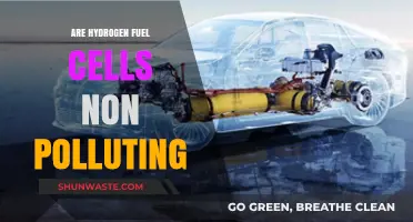 Hydrogen Fuel Cells: Clean Energy Revolution